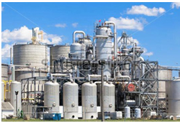 International Sugar Exporter