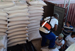 Brazilian Sugar Trader