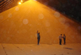 International Sugar Import